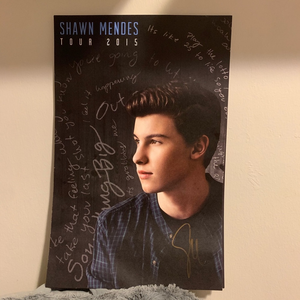 SHAWN MENDES 2015 TOUR POSTER